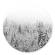 Verschneiter Wald A