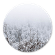 Verschneiter Wald 2 A