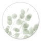 Eukalyptus transparent