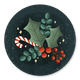 Ilex, Beeren, Zuckerstange A