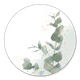 Eukalyptus