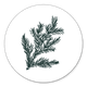 Tannenzweig R