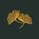 Ginkgo dunkelgruen K