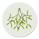 Mistletoe D
