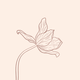 Tulpe Linienzeichnung Beige RO