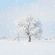 Verschneiter Baum RO