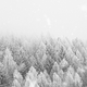 Winterwald RO
