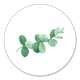 Eukalyptus gruen L