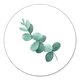 Eukalyptus Zweig L
