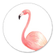 Flamingo auf Weiss