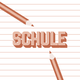 Schule rosa RO