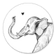 Elefant Strichzeichnung