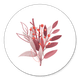 Zweige rosa L