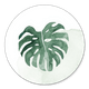 Monstera Aquarell gruen