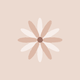 Geburt Sternblume RO