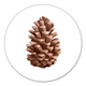 Tannenzaepfchen L