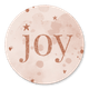 Joy T