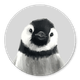 Pinguin L