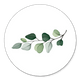 Zweig botanisch