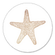 Seestern