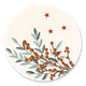 Weihnachtszweige