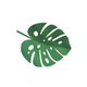 Monstera I