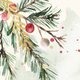 Aquarell Weihnachtszweige M