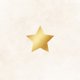 Vintage goldener Stern auf beige M