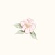 Aquarell Blume vintage auf Beige M