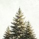 Tannenbaum natuerlich L