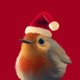 Rotkehlchen Weihnachtsmuetze L