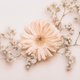 Trockenblumen rosa beige T