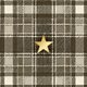 Tartan T