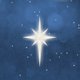 Weihnachtsstern auf blau I