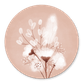 Weiße Blumen auf Rosa