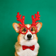 Weihnachten Corgi Ai RO