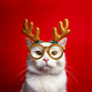 Weihnachtskatze mit Brille RO