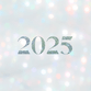 2025 Bokeh R