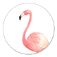Flamingo auf Weiss