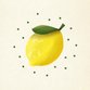 Zitrone mit Puenktchen I