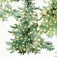 Weihnachtsbaum Lampen R