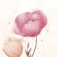 Fruehlingsblume rosa Aquarell M