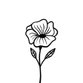 Blume schwarzweiss L