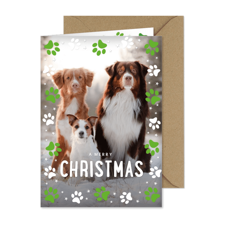 Weihnachtsgrüße mit großem Foto und Hundepfoten