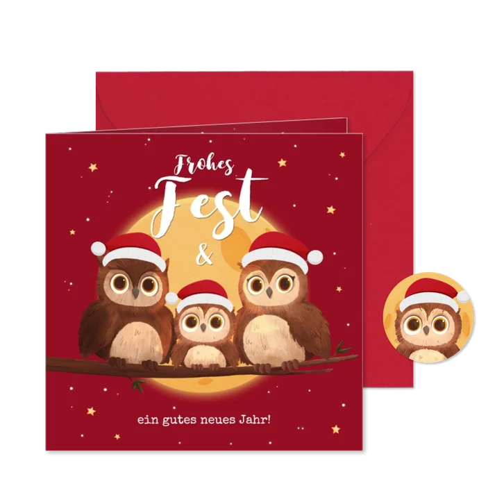 Lustige Weihnachtskarte 3 kleine Eulen mit Mütze
