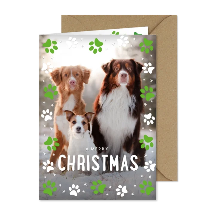 Weihnachtsgrüße mit großem Foto und Hundepfoten