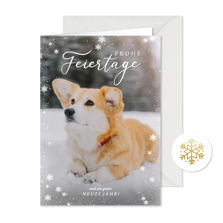 Weihnachtskarte eigenes Foto Hund im Schnee