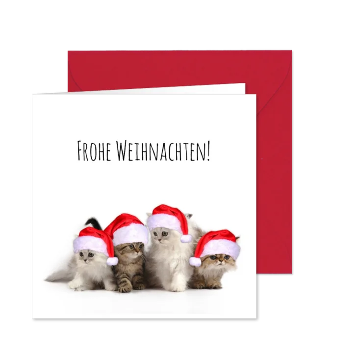 Weihnachtskarte Katzen mit Weihnachtsmützen