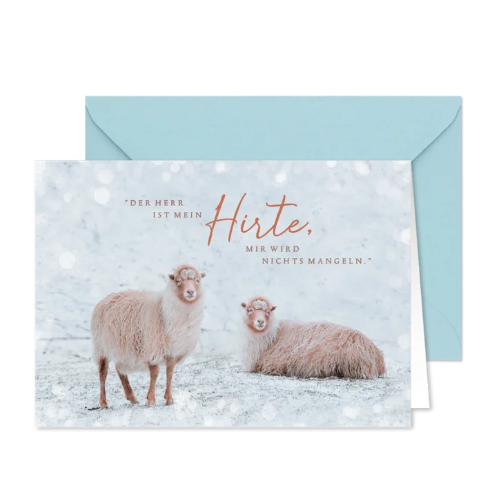 Weihnachtskarte Schafe im Schnee