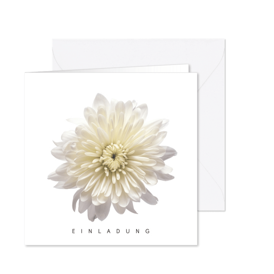 Einladung Weiße Dahlie - Karteneindruck

